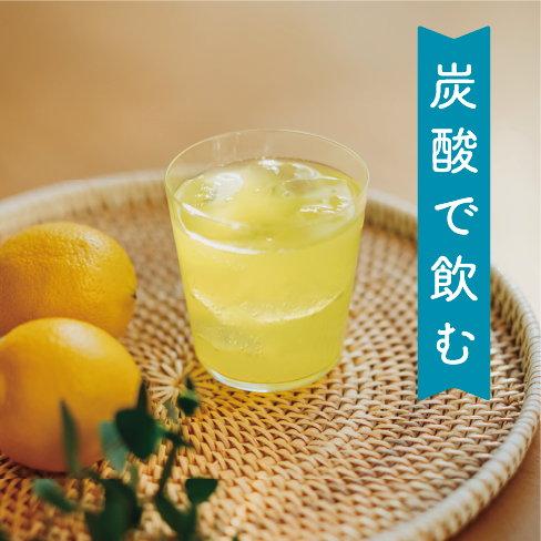 美種(ミジョン)を炭酸水で割って飲むイメージ図